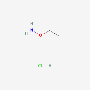 Ethoxyamine hydrochloride 丨 CAS 3332-29-4